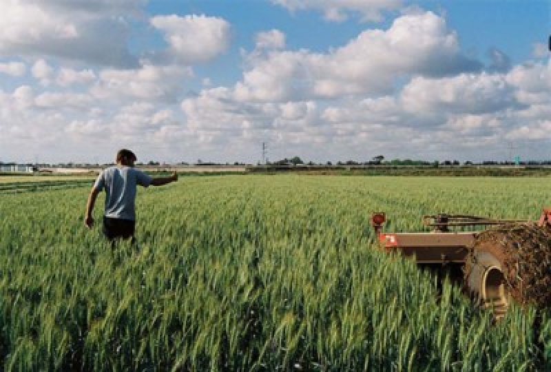 Ποιος θα δουλέψει στα χωράφια και τα εργοστάσια;