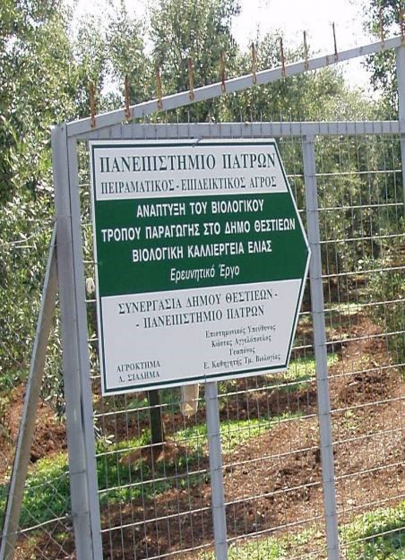 Ενας πρότυπος Βιολογικός Ελαιώνας στο Παναιτώλιο.