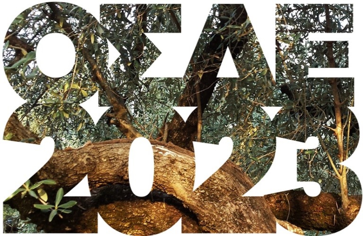 ΟΣΔΕ 2023: τι περιλαμβάνει η Ενιαία Αίτηση