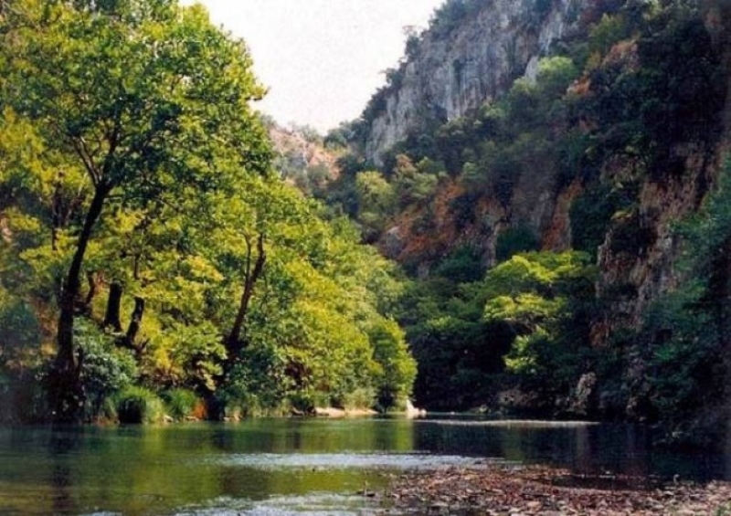 Νέα δωρεάν εφαρμογή για το πράσινο στις πόλεις