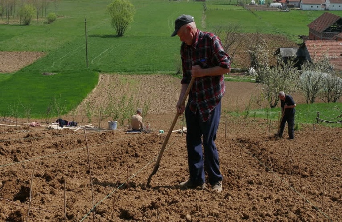 Παράταση έως 30/6/23 στην προθεσμία για υποβολή αιτημάτων για κατά παρέκκλιση μετάκληση εργατών γης
