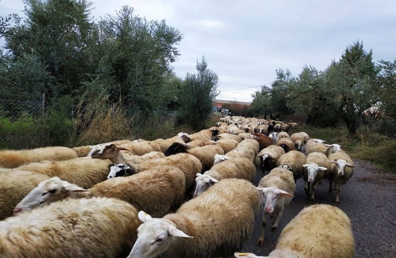 Πληρωμή 4,37 εκατ. ευρώ σε 2.375 δικαιούχους