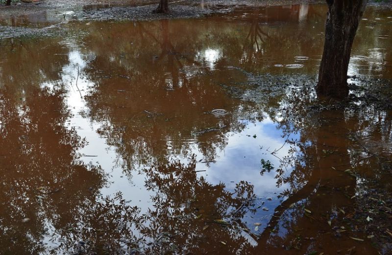 Μεγάλες καταστροφές απ’ την κακοκαιρία σε καλλιέργειες στην Αιτωλοακαρνανία