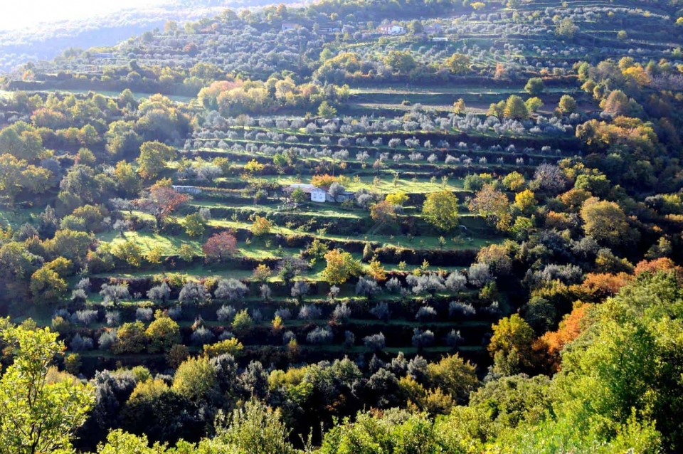 Τα χρώματα του Αράκυνθου (φωτο &amp; video)