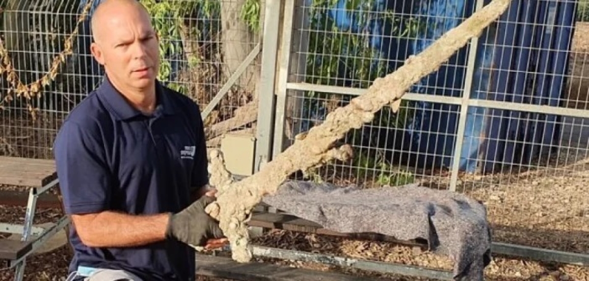 Μοναδικό εύρημα στο Ισραήλ: Ερασιτέχνης δύτης βρήκε ξίφος 900 ετών από τις Σταυροφορίες – Δείτε βίντεο