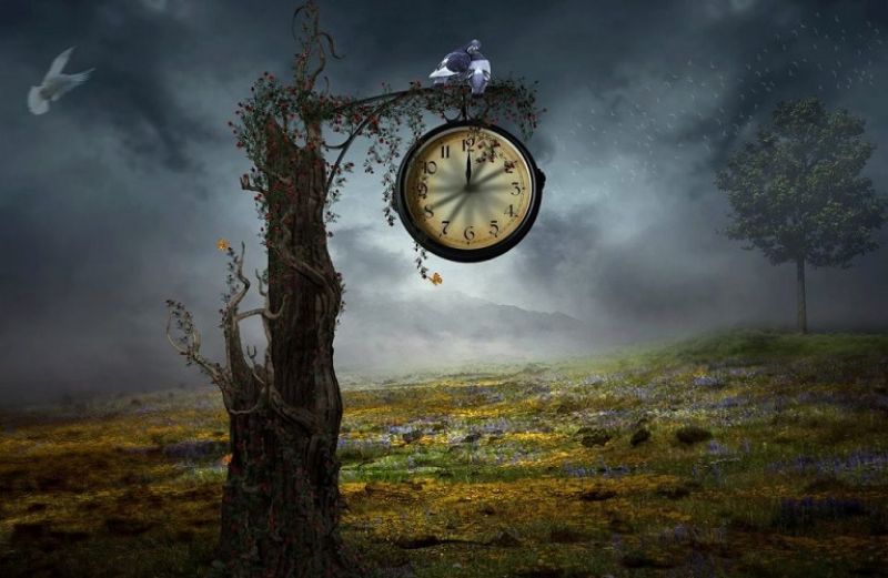 Καλλιεργώντας τον «καινούργιο χρόνο»