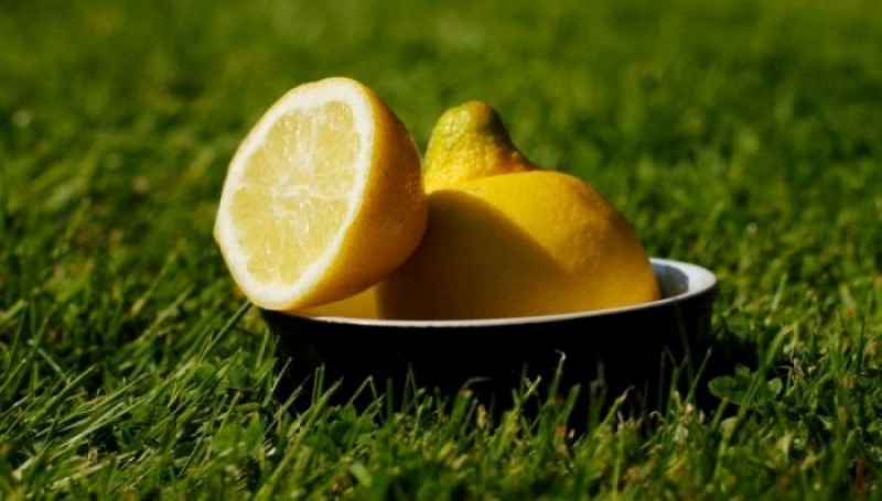 Dr Κωνσταντίνος Μουρούτης: &quot;Το θαύμα του λεμονιού&quot; [φωτό]