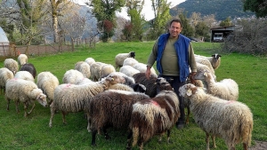 Τα γιδοπρόβατα του Μιχάλη | Η ζωή στο χωριό (Βίντεο)