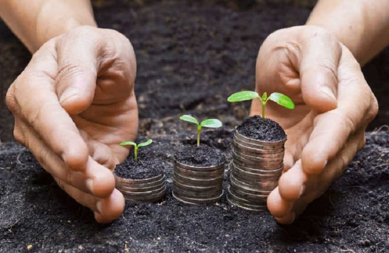 Πληρώθηκε το βαμβάκι και συνδεδεμένες ενισχύσεις σε διάφορα προϊόντα