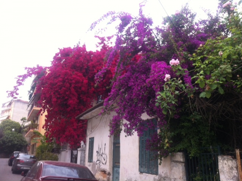 Καλοκαιρινές εκδηλώσεις από το ΚΔΑΠ “Φαντασία”