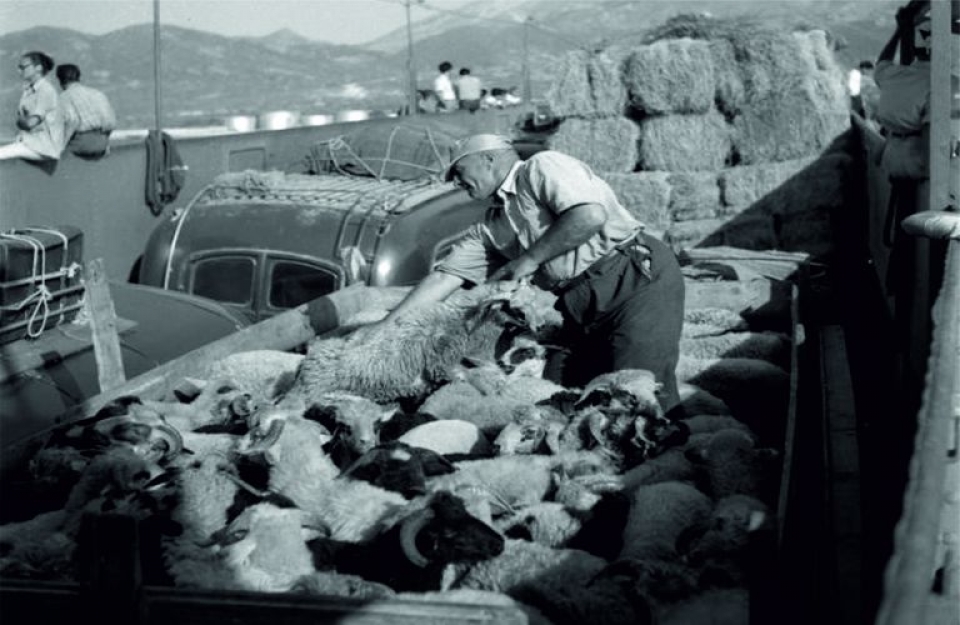 Η Ένωση Αγρινίου και το «συνεταιριστικό» πρώτο ferry boat στο Ρίο-Αντίρριο