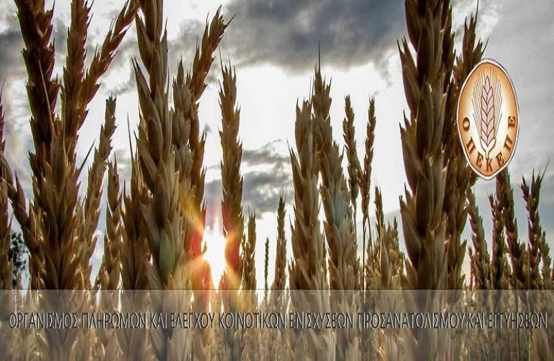 Νέα πληρωμή 15 εκατ. ευρώ σε 9.902 δικαιούχους