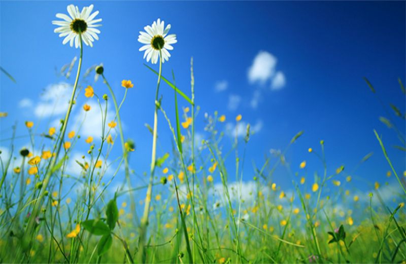 Αποφάσεις και δράσεις για την αγροτική ανάπτυξη