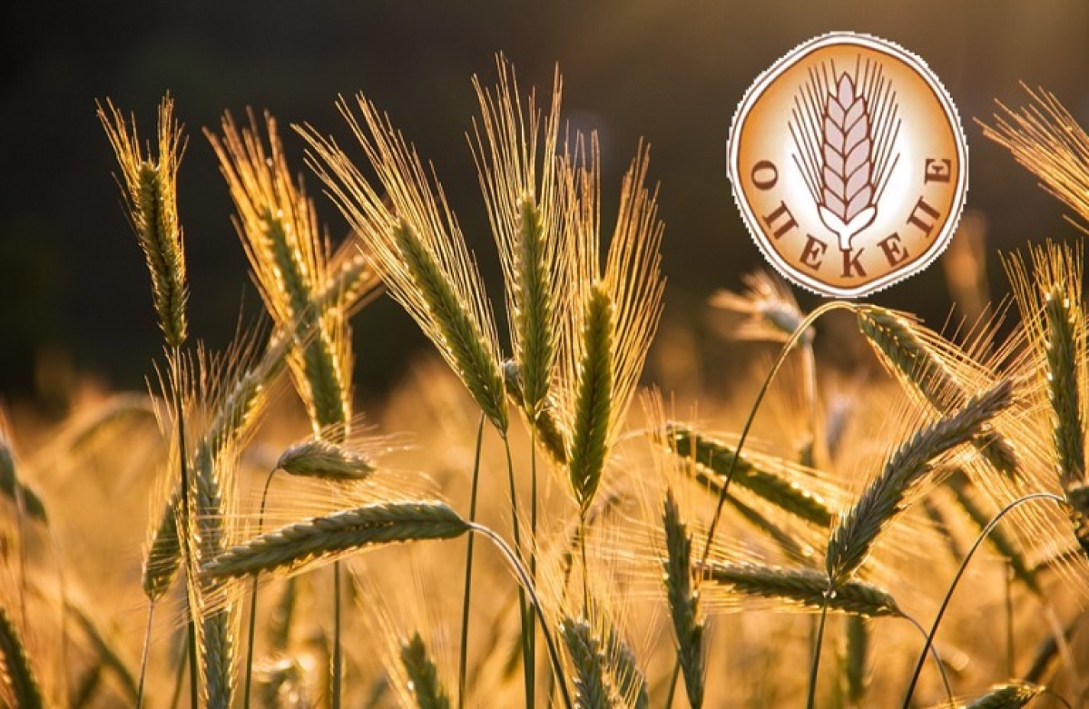 Συνδεδεμένη Στήριξη: τι θα δοθεί - η εγκύκλιος