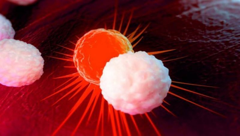 Σπουδαίο επίτευγμα: Έλληνες βρήκαν πρωτοποριακή μέθοδο καταπολέμησης της λευχαιμίας