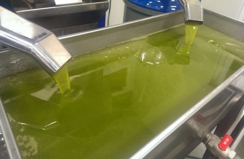 Ορθές πρακτικές στην παραγωγή ελαιολάδου