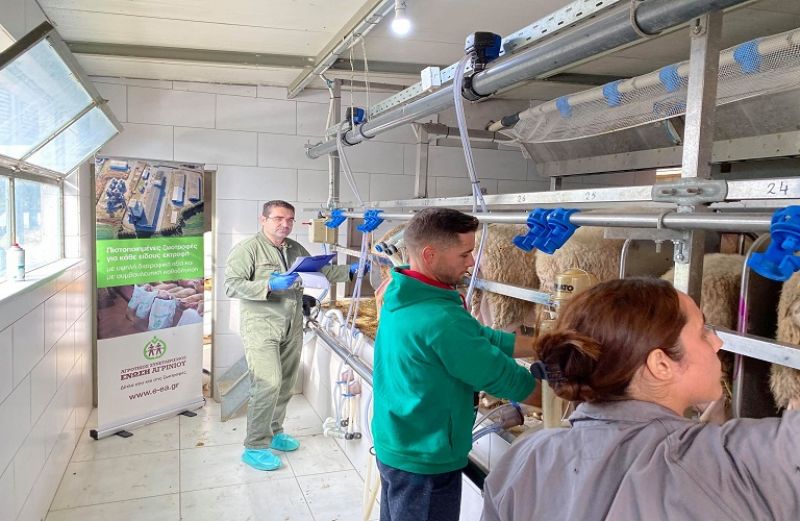 Η κτηνοτροφία …μπορεί να έχει μέλλον