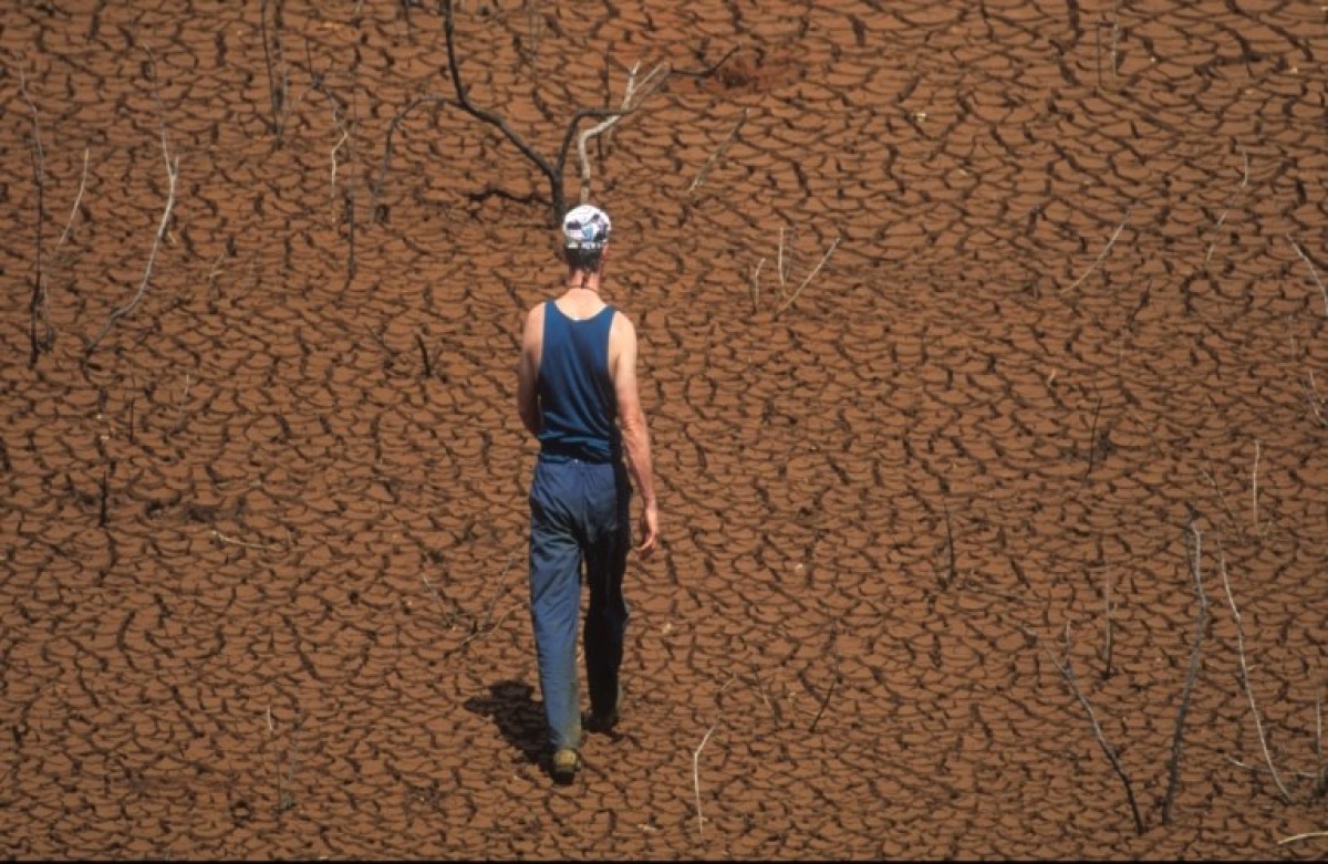 Παγκόσμιο Φόρουμ Τροφίμων: η παραγωγή τροφίμων πρέπει να αυξηθεί κατά 50% έως το 2050