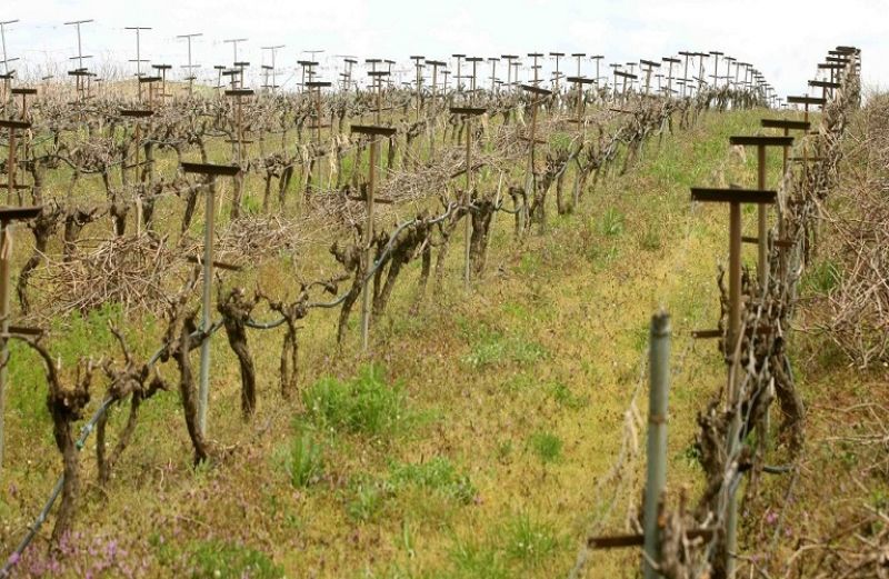 Δωρεάν δημόσια γη: το θεσμικό πλαίσιο-η διαδικασία