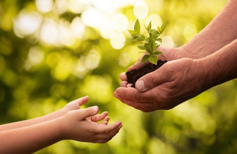 Η γεωργία και τα τρόφιμα στην Ευρώπη