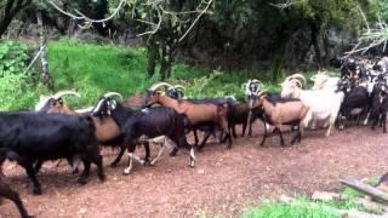 Ξηρόμερο: Χώματα με ιστορία