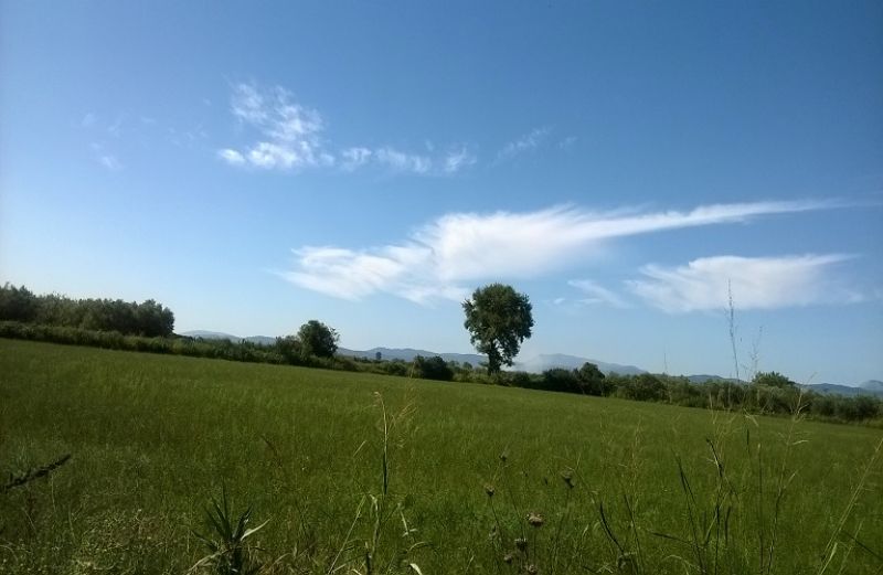 Νέα πληρωμή 2,2 εκατ. από ΟΠΕΚΕΠΕ