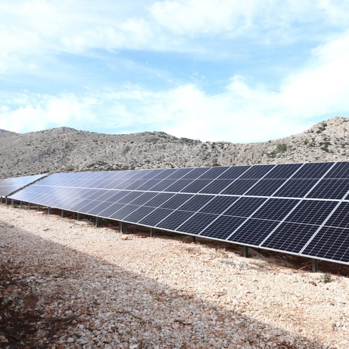 Φωτοβολταϊκοί σταθμοί: Απαιτείται πλέον φύτευση - Λίνος Μπλέτσας: Η απόφαση έχει αξία περιβαλλοντική