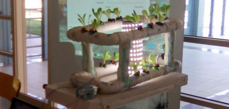 Πρωτιά για το 17ο Δημοτικό Σχολείο Αγρινίου στον Περιφερειακό Διαγωνισμό Ρομποτικής στην Πάτρα! (ΔΕΙΤΕ ΦΩΤΟ)