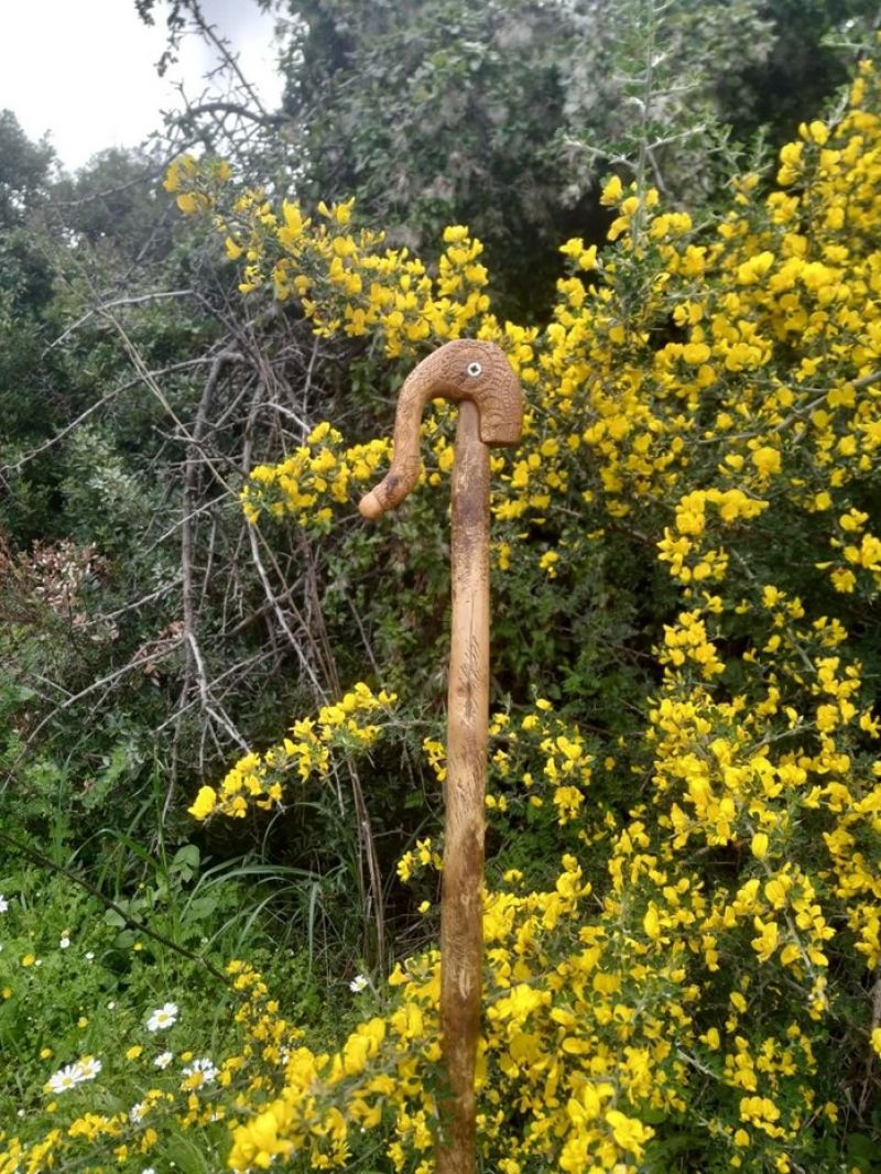 Επί ανθισμένων ασπαλάθων…