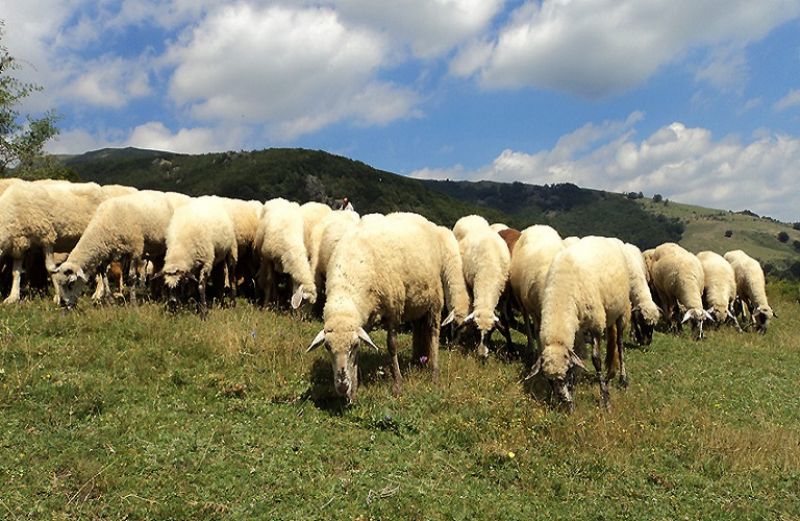 Εγκρίθηκαν 235 εκ. ευρώ για την Εξισωτική