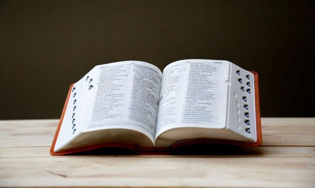 Τι σημαίνει η φράση «Δρυός πεσούσης πας ανήρ ξυλεύεται» και από πού προέρχεται