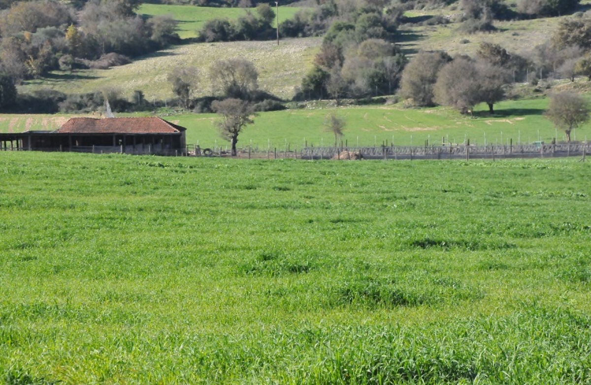 Δεν επιτρέπονται πισωγυρίσματα στον ΟΠΕΚΕΠΕ