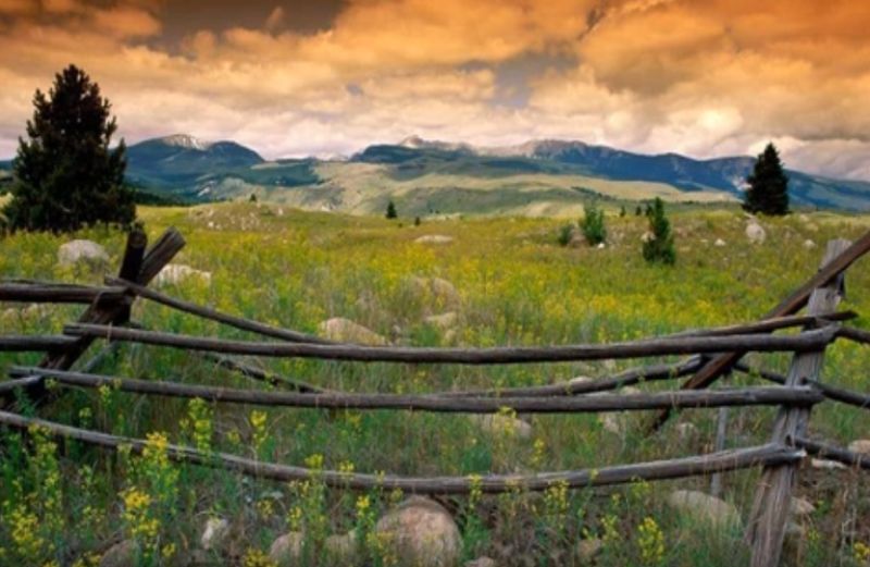 Τι αλλάζει στην επιστροφή Φ.Π.Α. στους αγρότες του ειδικού καθεστώτος