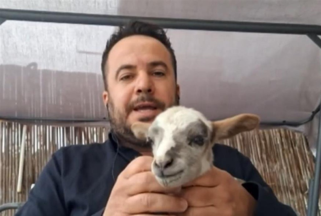 Η κραυγή ενός κτηνοτρόφου για τα μέτρα ευλογιάς: «Αυτό το αρνάκι γεννήθηκε χθες και θα το σκοτώσουν»