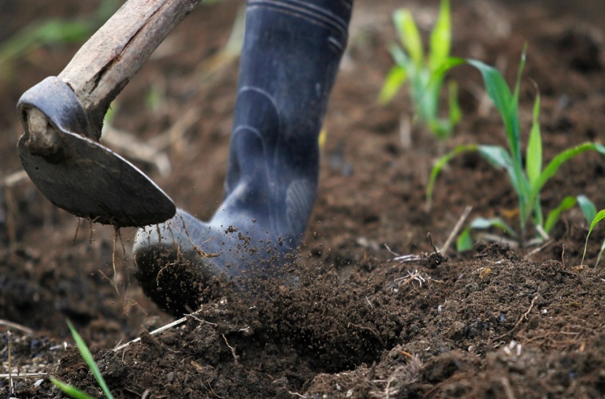 Τι είδους γεωργία θέλουμε;