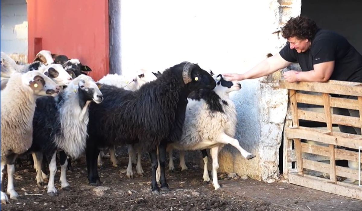Η «ανορθόγραφη» ΚΑΠ (ΚΓΠ-CAP)