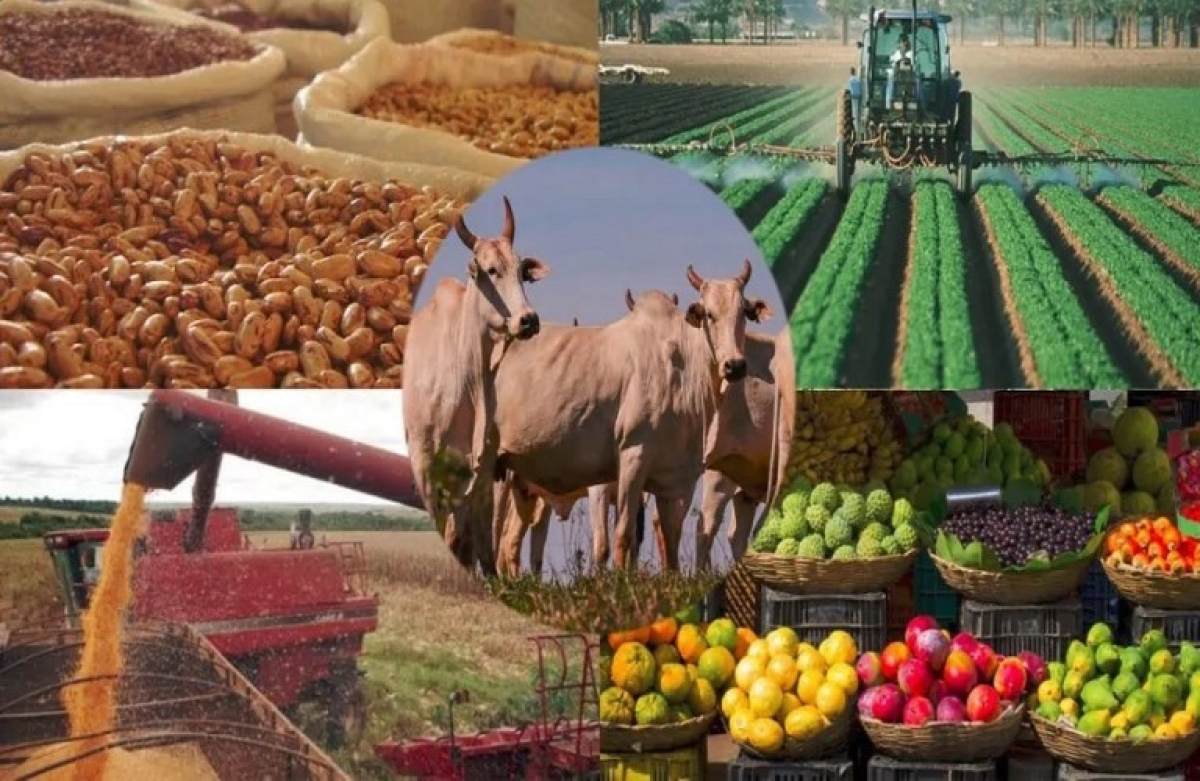 Ο χάρτης της παραγωγής στα βασικά γεωργο-κτηνοτροφικά προϊόντα