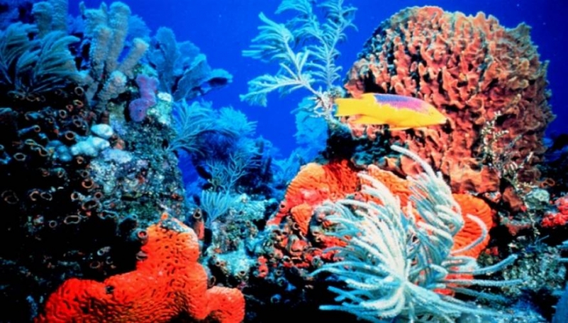 Με ένα κλικ περιπλανηθείτε σε μοναδικούς προορισμούς [εικόνες]