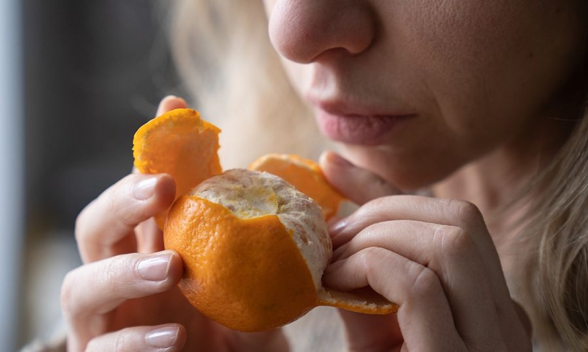 Πόσες γεύσεις υπάρχουν; Το γευστικό σύστημα μπορεί να αναγνωρίσει 5 βασικές γεύσεις