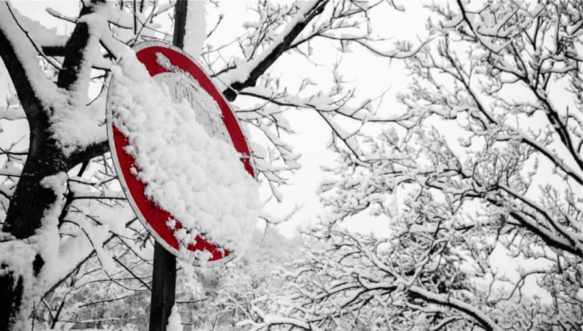 Κακοκαιρία Μπάρμπαρα: Η εφαρμογή frost.minagric.gr ασπίδα προστασίας από τον παγετό – Χρήσιμο εργαλείο στα χέρια των αγροτών