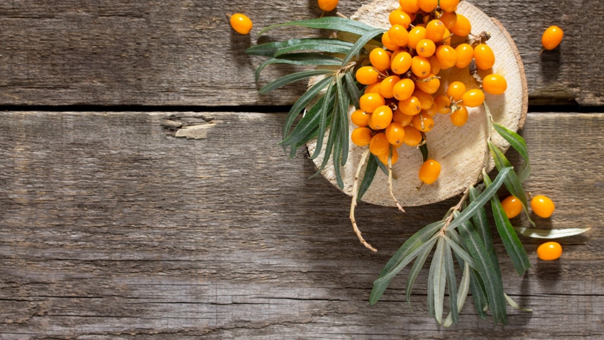 Μάθετε τα πάντα για το «άγνωστο» φρούτο που βοηθάει στην απώλεια βάρους