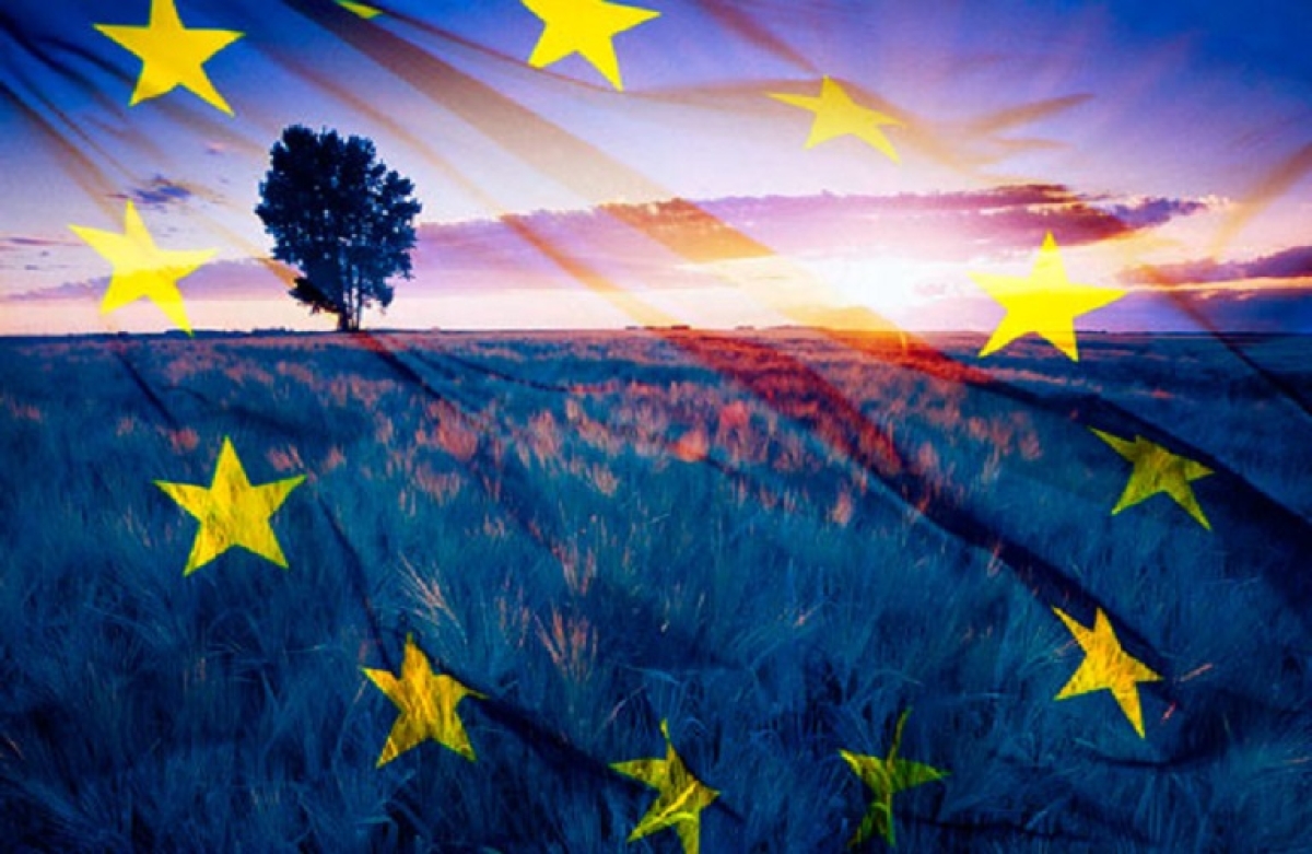 Συνεδριάζει στις 23 Ιανουαρίου το Συμβούλιο Γεωργίας και Αλιείας