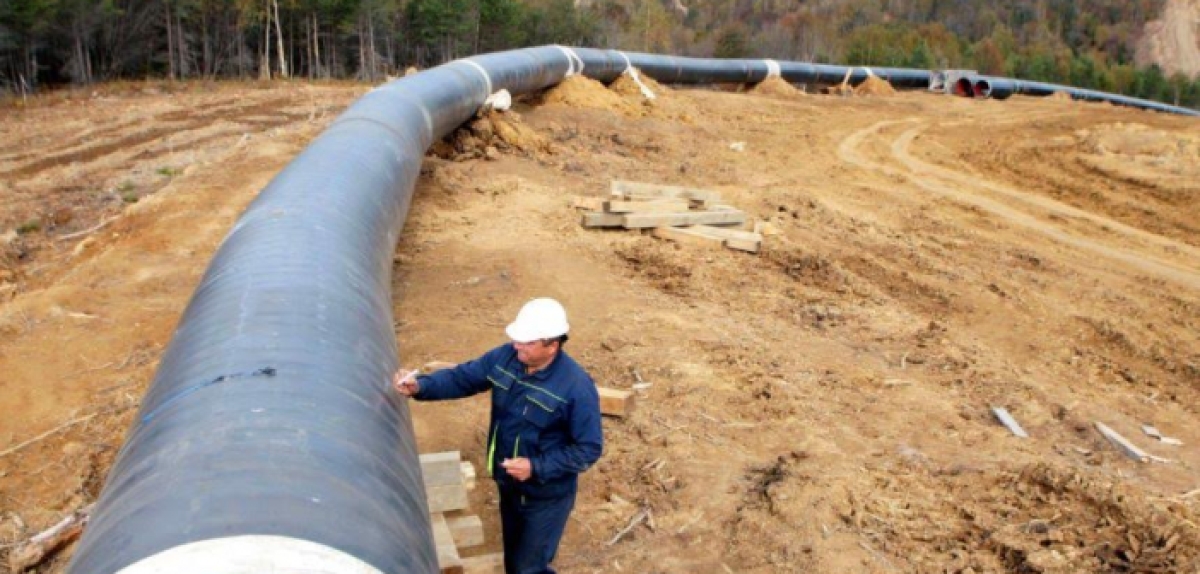 “Όχι στον East Med γιατί θα κόψει…ελιές”!