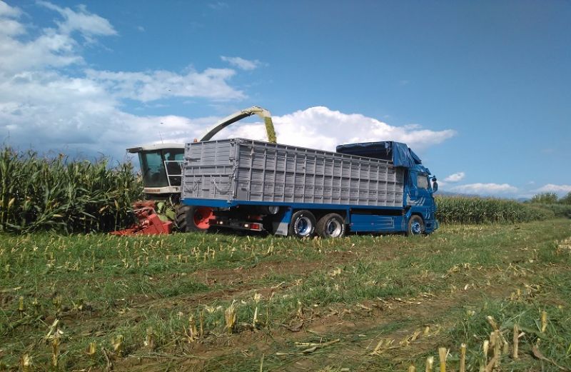 Υποχρέωση υποβολής αιτήσεων εγγραφής/έγκρισης επιχειρήσεων ζωοτροφών
