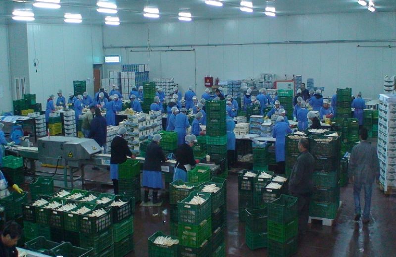 Πρόσληψη εποχιακών εργατών στον Αγροτικό Συνεταιρισμό Σπαραγγιών «ΑΧΕΛΩΟΣ»