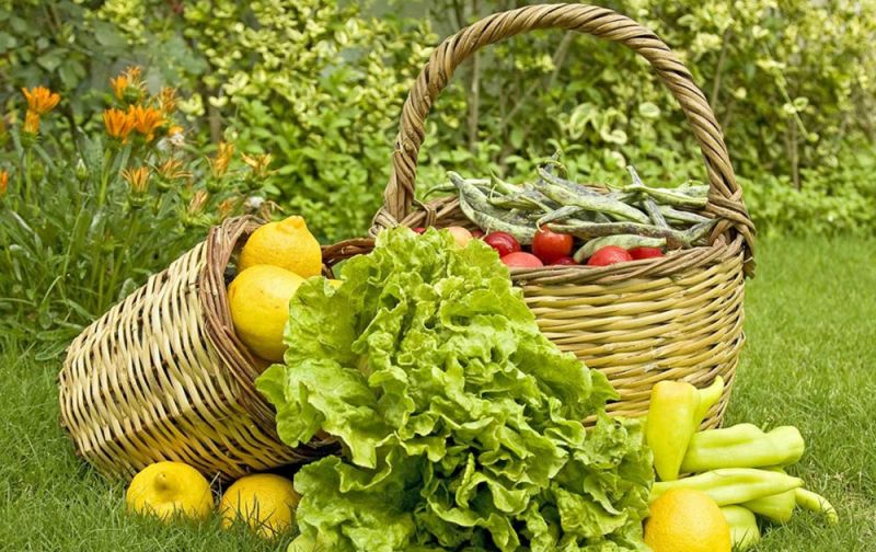 Πληρωμή για την δράση Βιολογική Γεωργία