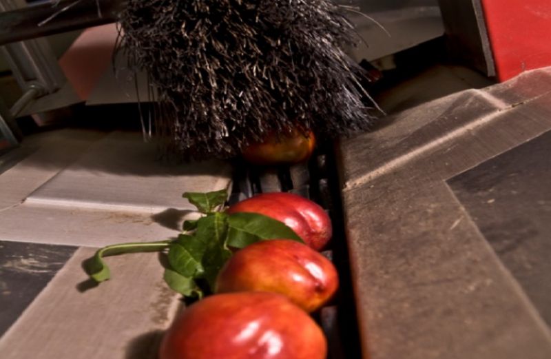 Στήριξη για νέες συμμετοχές σε συστήματα ποιότητας