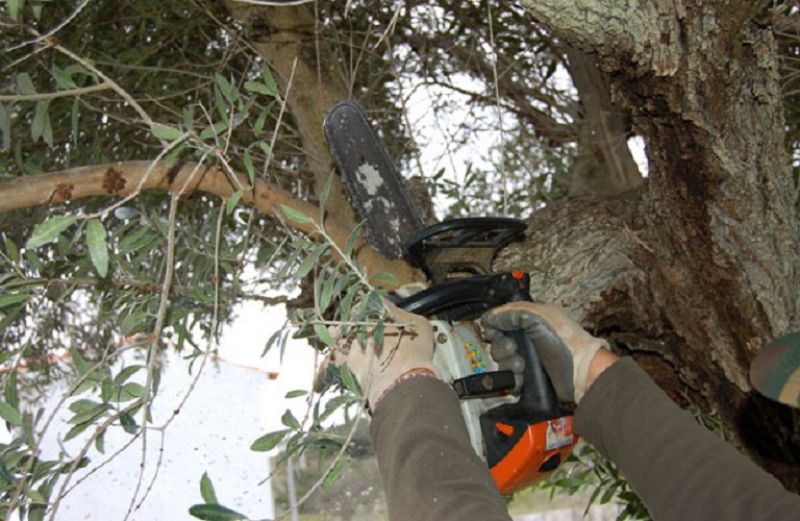 Προσοχή στα «αγροτικά ατυχήματα»