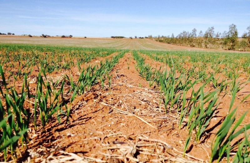 Αναρτήθηκαν τα αποτελέσματα ελέγχου μέσω τηλεπισκόπησης