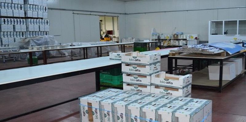 Πρόσληψη εποχικών εργατών στο συσκευαστήριο στη Νεάπολη